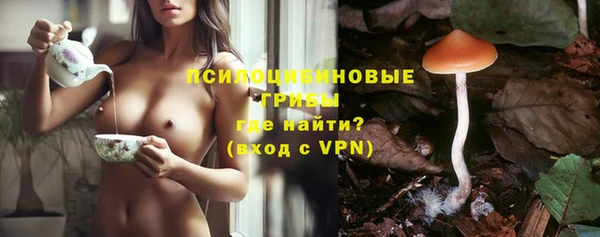мескалин Медногорск