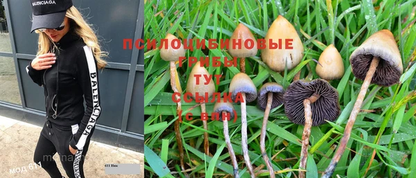 стафф Магадан