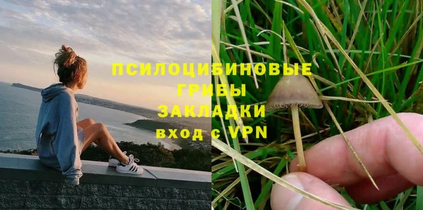 стафф Магадан