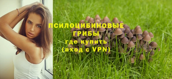 ешки Медвежьегорск