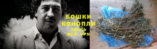 стафф Магадан